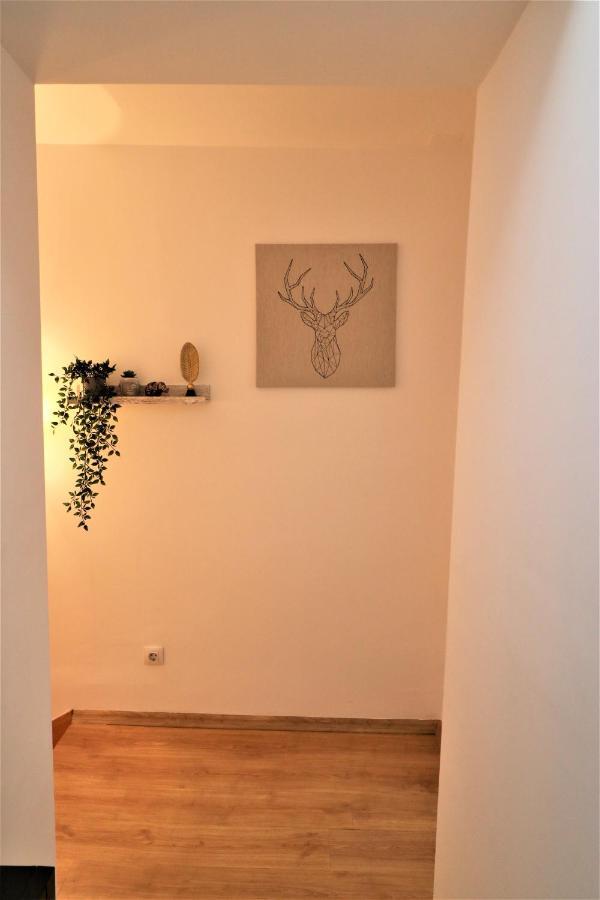 Cozy Old Town Apartment - Free Minibar Бухарест Екстер'єр фото